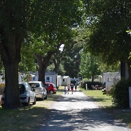 Mobil Xxl 4 - La Trevilliere *