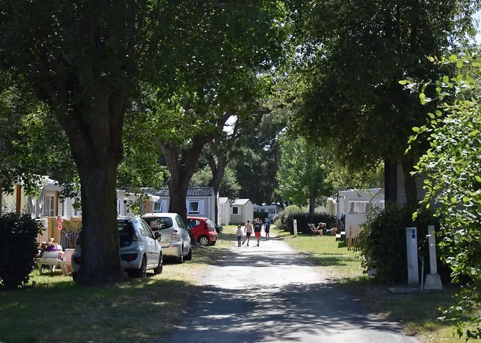 Mobil Xxl 4 - La Trevilliere *